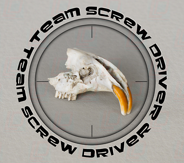 Team Screw Driver